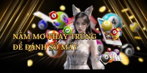 Nằm mơ thấy trúng đề đánh số mấy