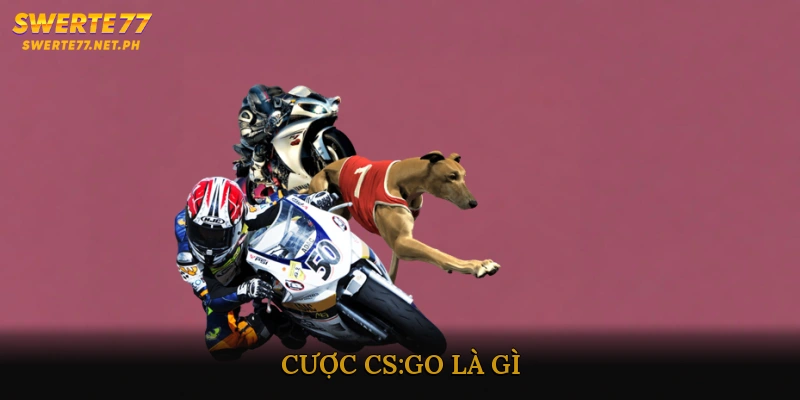 Cược CS:GO là gì?