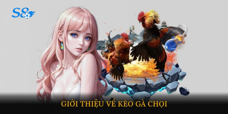 Giới Thiệu Về Kèo Gà Chọi
