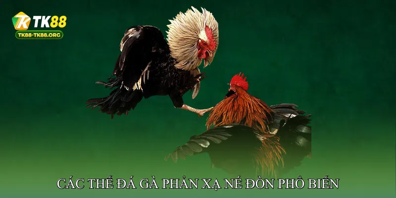 Các thế đá gà phản xạ né đòn phổ biến
