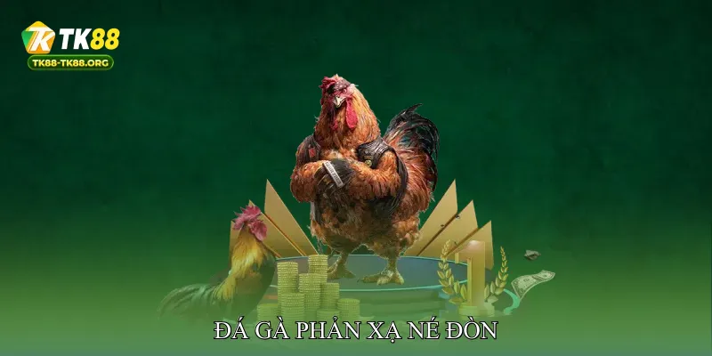 Đá gà phản xạ né đòn