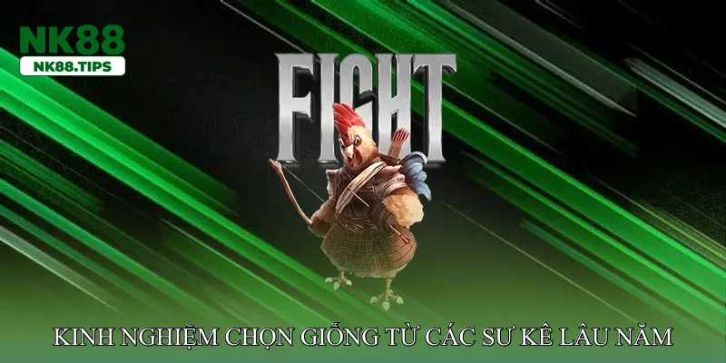 Kinh nghiệm chọn giống từ các sư kê lâu năm