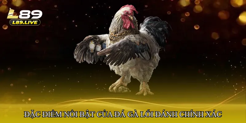 Đặc điểm nổi bật của Đá gà lối đánh chính xác