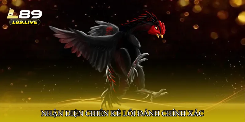 Nhận diện chiến kê lối đánh chính xác